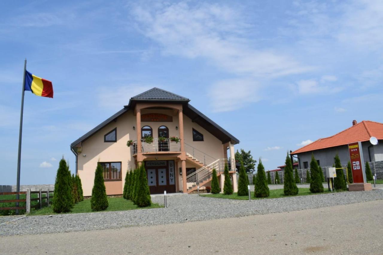 Pensiunea La Beny Cicir Экстерьер фото